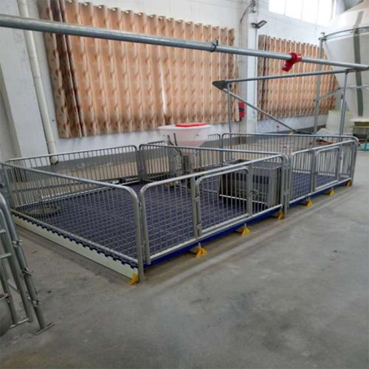 供应复合仔猪保育床 养殖场用保育床 保育床价格