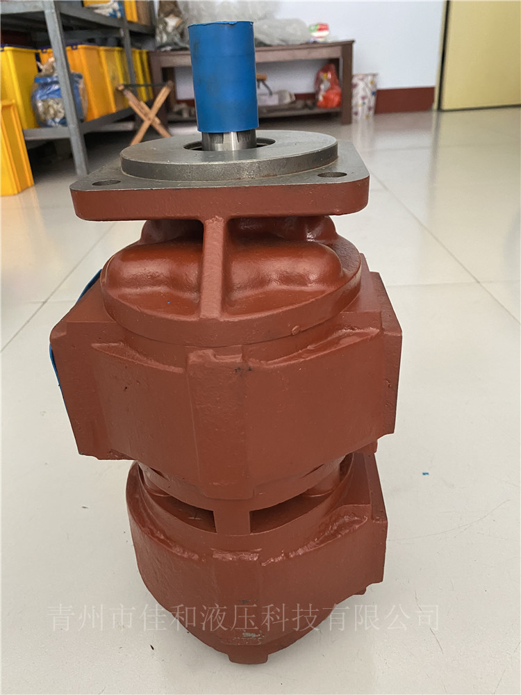 CBZ2050/2050R 双联齿轮油泵供应