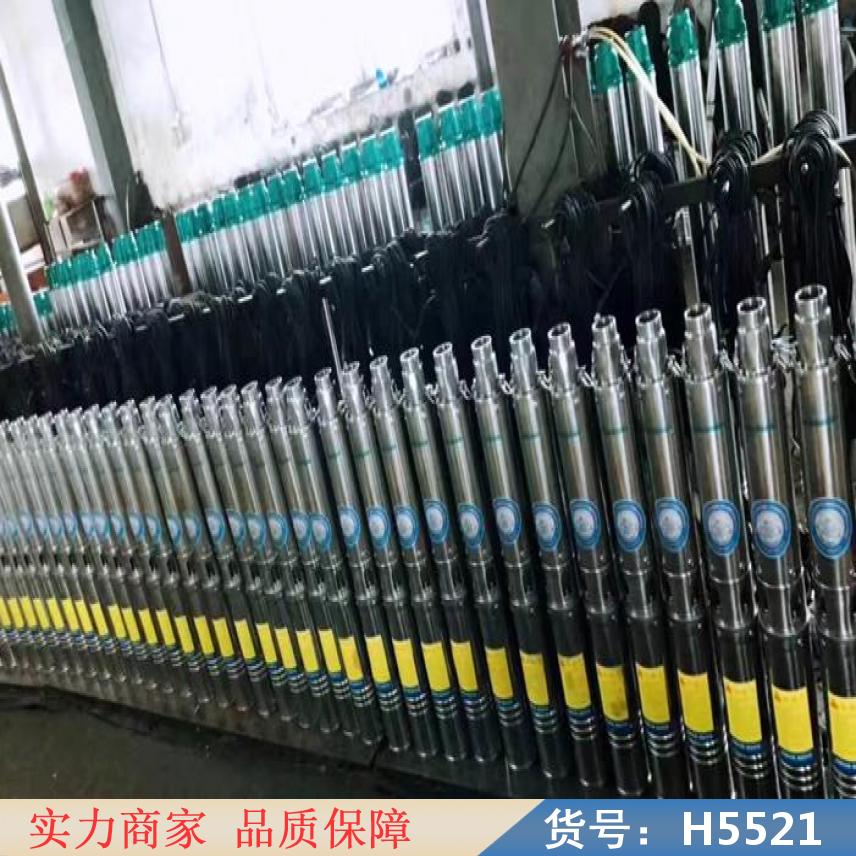 宏胜热水潜水泵 大口径潜水泵 304不锈钢潜水泵货号H5521