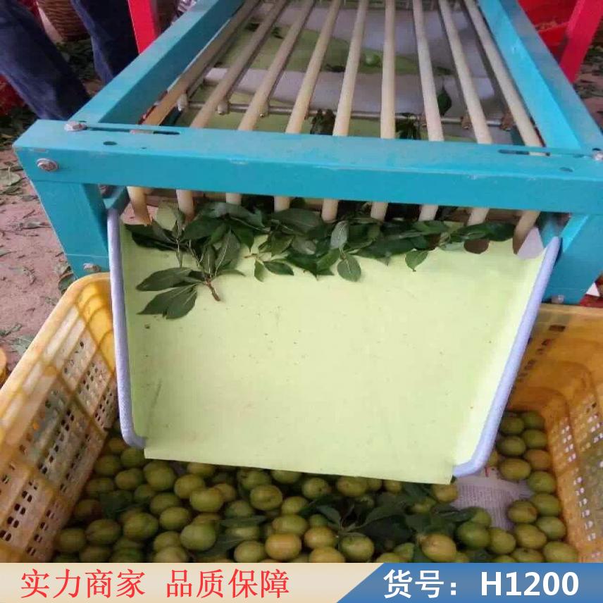 宏胜电子选果机 花生选果机 9轨式选果机货号H1200