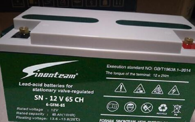 德国赛能蓄电池SN-12V65CH 12V65AH监控通讯UPS电源阀控铅酸现货