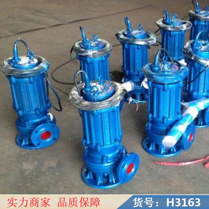宏胜立式排污泵 潜水式污水泵 型潜水污水泵货号H3163