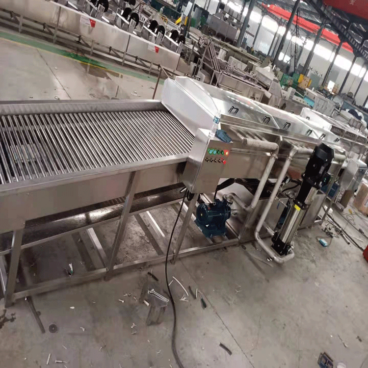 气泡清洗机设备 青豆玉米清洗机设备 玉米须清洗机厂家