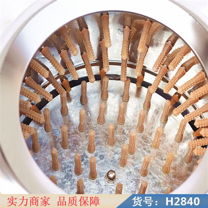 宏胜50型家禽脱毛机 不锈钢脱毛机 拔打毛机货号H2840