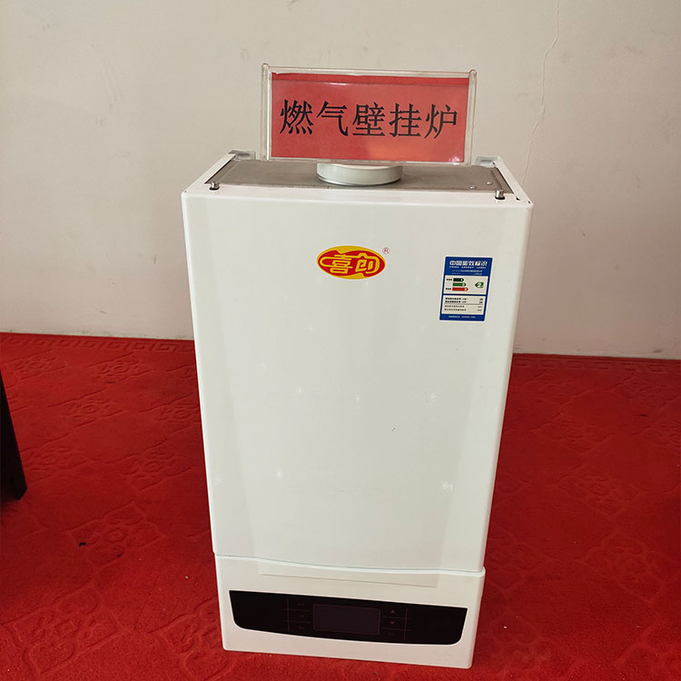 创新实体工厂定制加工 供暖取暖锅炉 家用壁挂炉 燃气壁挂炉 欢迎来电咨询