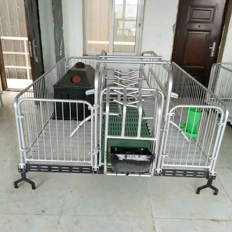单体母猪产床 养猪设备 全自动养猪设备 猪用产床