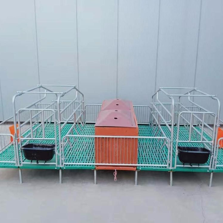 母猪产床 猪用产保一体产床 养猪设备 产保一体产床 