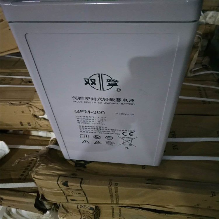 储能用蓄电池江苏蓄电池工业用蓄电池普通蓄电池