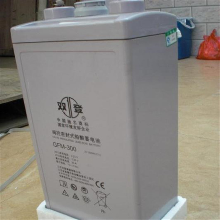 工业蓄电池铅酸蓄电池品牌6-GFM-100蓄电池小型蓄电池