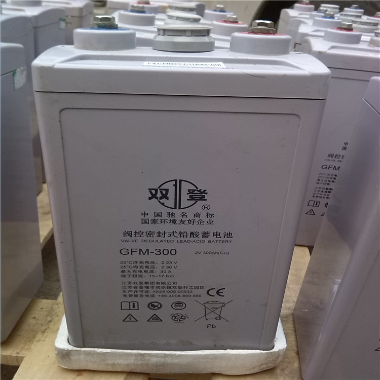 ups蓄电池厂家ups电源蓄电池6-GFM-100蓄电池小型蓄电池