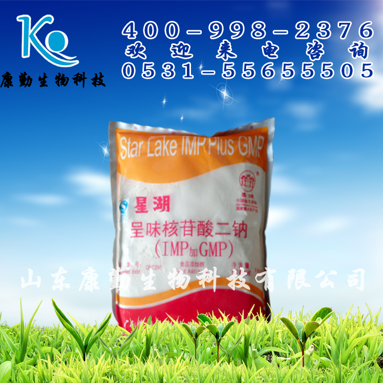 厂家直销 呈味核苷酸二钠 食品级 呈味核苷酸二钠 品质保障 呈味核苷酸二钠