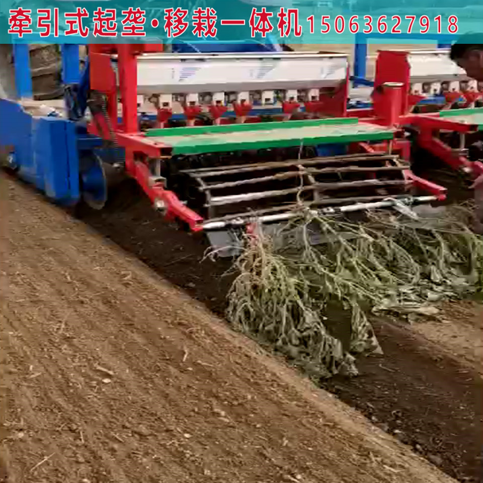 花卉作物播种一体机报供应 播种一体机行距可调节