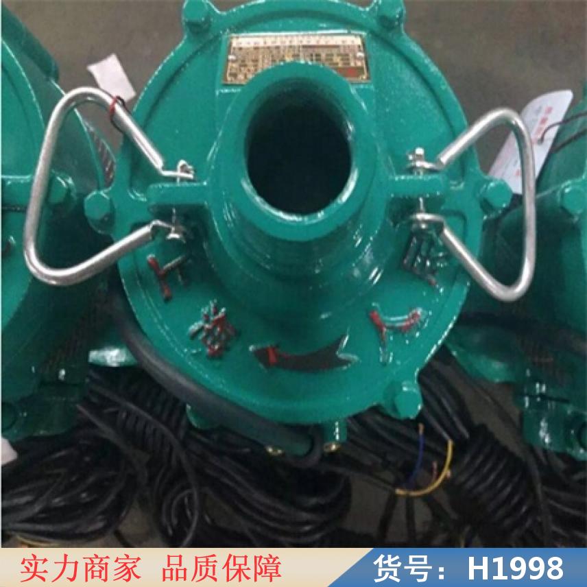 宏胜潜水清水泵 旅馆清水泵 排除工厂清水泵货号H1998