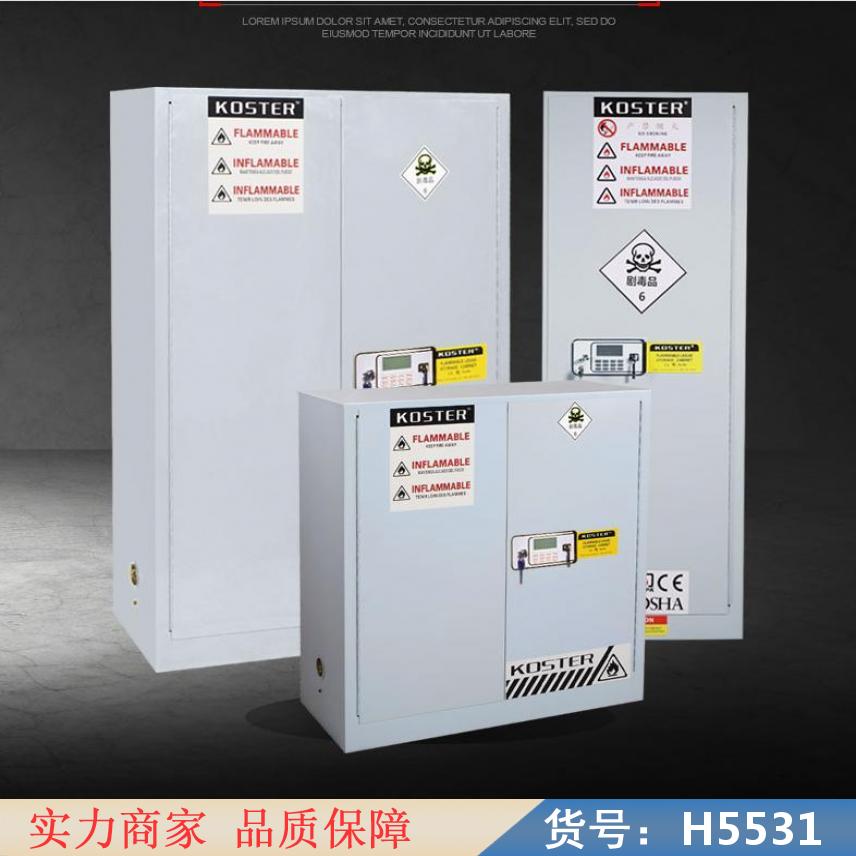 宏胜化学毒品柜 剧毒毒品柜 毒品安全柜，SYSBEL毒品安全储存货号H5531