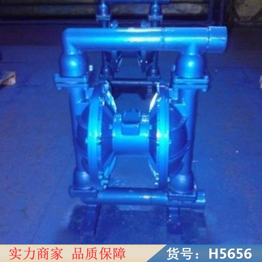 宏胜气动泵隔膜泵 电动隔膜泵 微型隔膜泵货号H5656