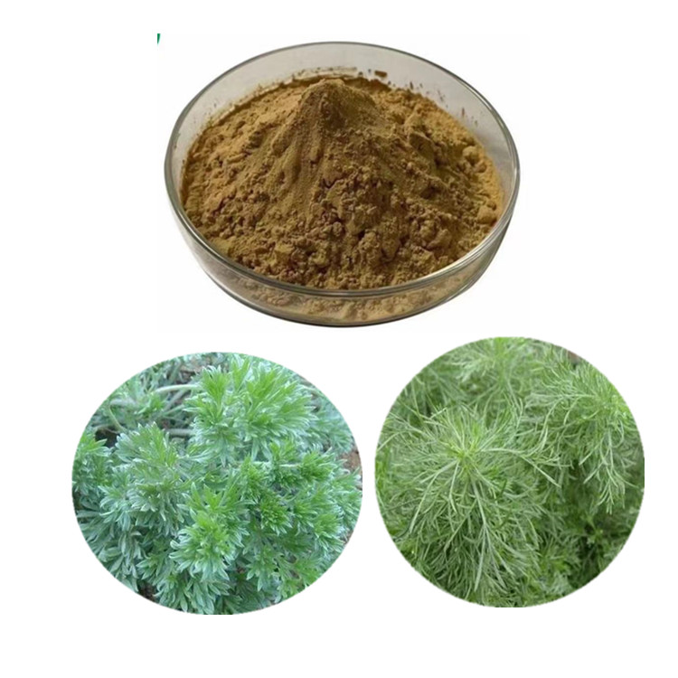 茵陈提取物 茵陈内脂 茵陈冻干粉 茵陈浓缩粉 水溶性茵陈粉 茵陈蒿素  茵陈粉