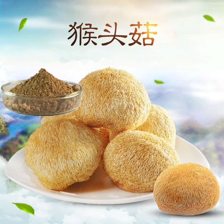 猴头菇提取物 猴头菇多糖 猴头菇浓缩粉 猴头菇菌丝体多糖  猴头菇黄酮 猴头菇多糖  水溶性猴头菇粉