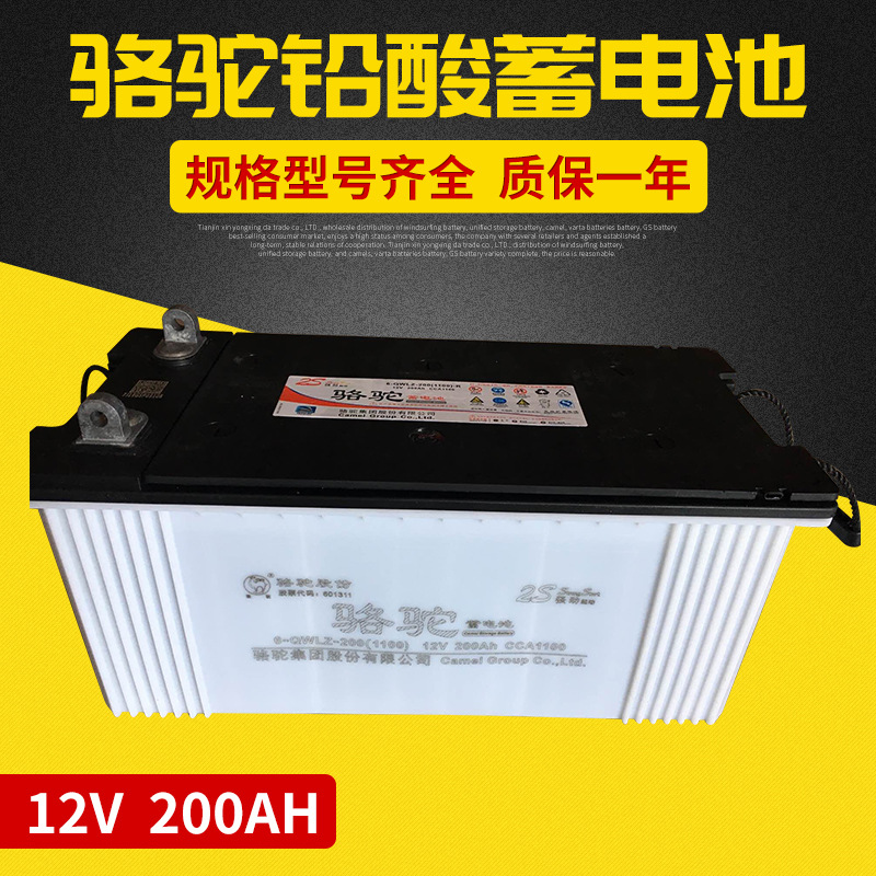 骆驼蓄电池 12V200ah免维护船泊专用电瓶 6-QW-200铅酸蓄电池