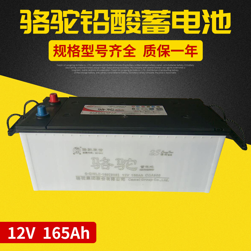 骆驼蓄电池 6-QWLZ165蓄电池 起动型蓄电池