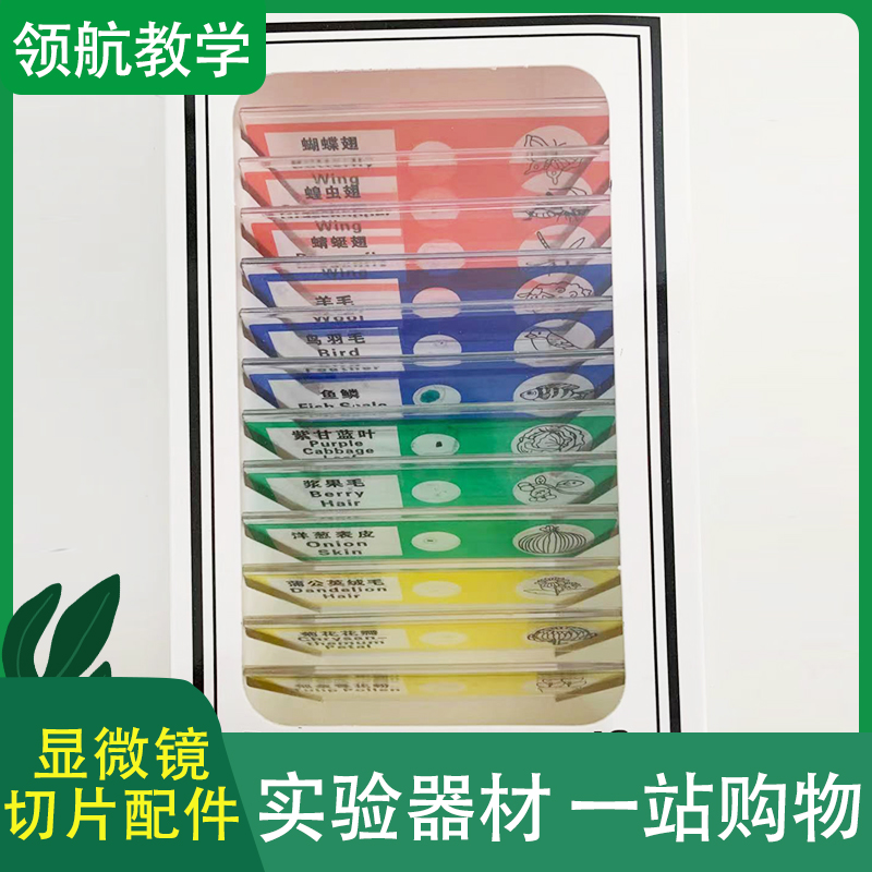 显微镜配件塑料制生物标本切片一盒儿童专用更安全不划伤手