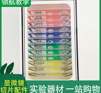 显微镜配件塑料制生物标本切片一盒儿童专用更安全不划伤手