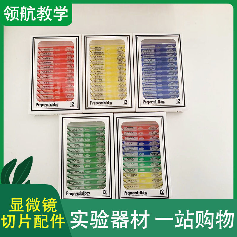 不伤手儿童教学塑料切片 花朵类标本 显微镜切片配件