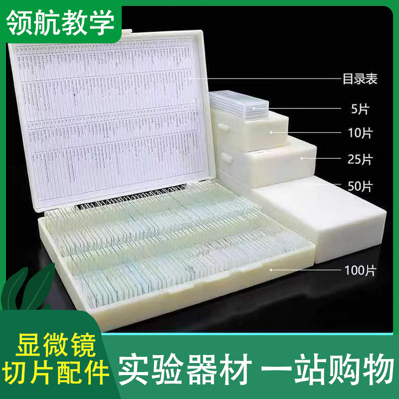不伤手儿童教学塑料切片 动物类标本 显微镜标本切片