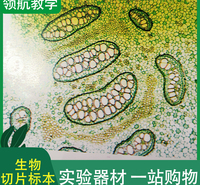 领航教学 切片标本 生物显微镜标本切片 塑料标本