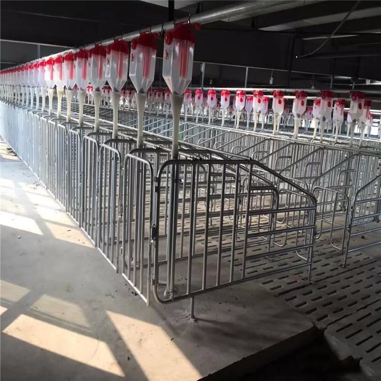 正茂猪舍喂料设备养殖料线  养殖自动喂料养猪料线  厂家定制