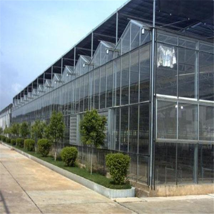 北方连栋温室预算 连栋温室设计安装 养殖连栋温室搭建