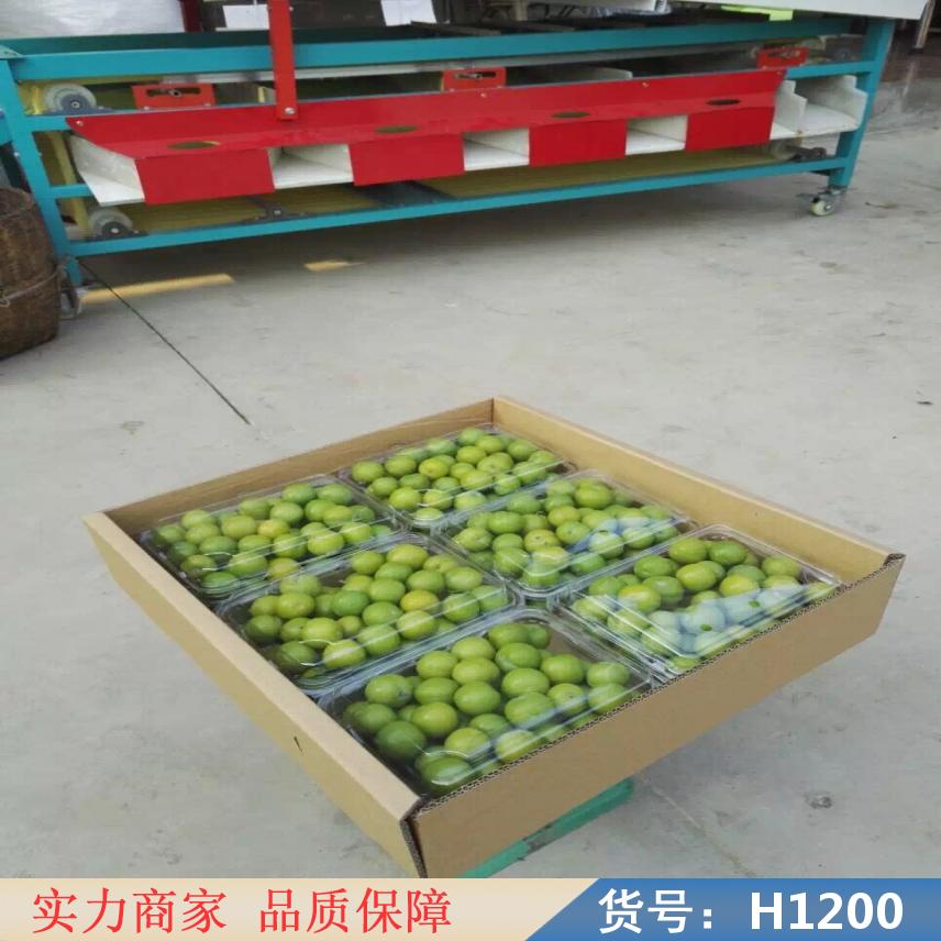 宏胜柑桔选果机 石榴选果机 电脑选果机货号H1200