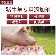 猪用增重促长素 催长饲料添加剂 多长肉 拉大骨架