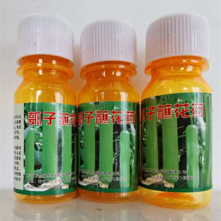 农伯乐牌产地直供西葫芦专用座果灵    西葫芦专用座果灵欢迎来电洽谈