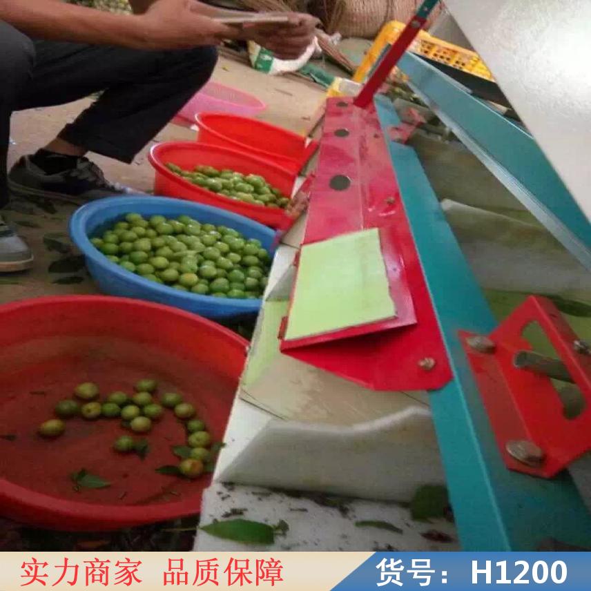 宏胜自动选果机 樱桃选果机 9轨式选果机货号H1200