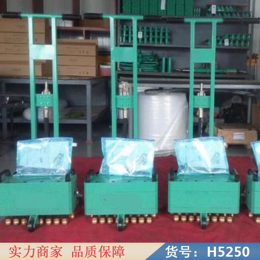 宏胜毛凿机 便携式凿毛机 凿毛机摊铺机铣刨机货号H5250