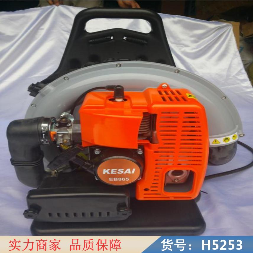 宏胜手提灭火机 背式灭火机 747超级灭火机货号H5253
