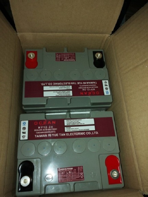 日月潭蓄电池REDSUN12-24 12V24AH 正品保证电力直流屏专用