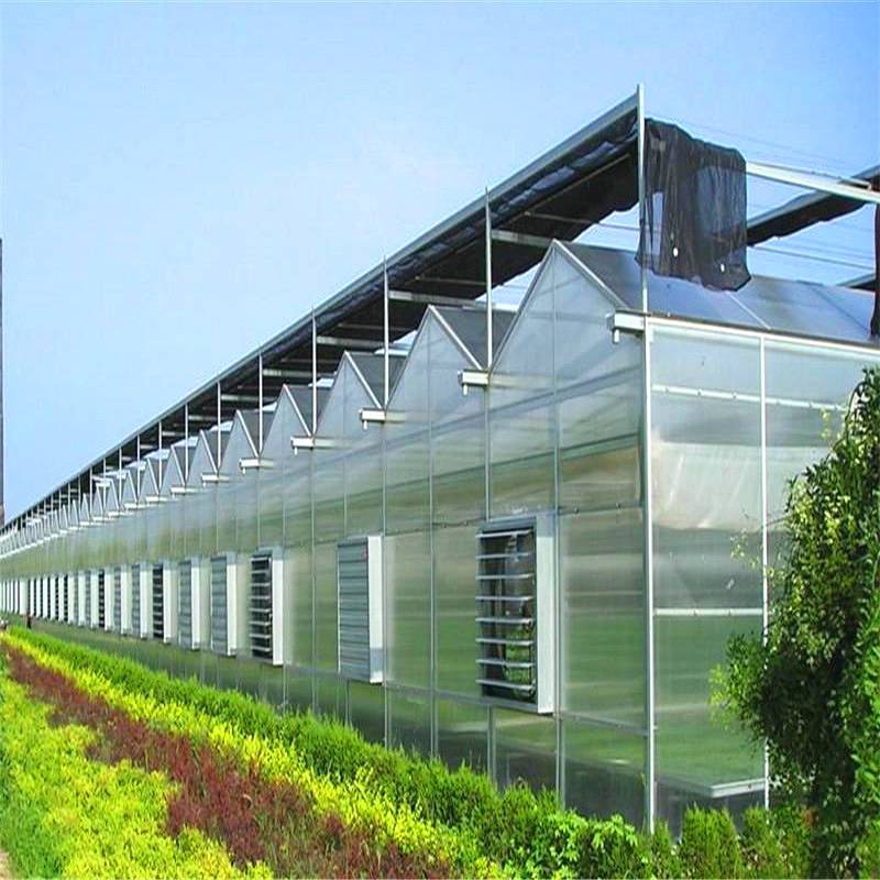 阳光板温室 厂家 承建阳光板温室大棚 博盛温室工程