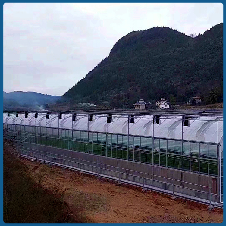 中空钢化玻璃 玻璃温室建造 优良玻璃密封结构 花卉大棚