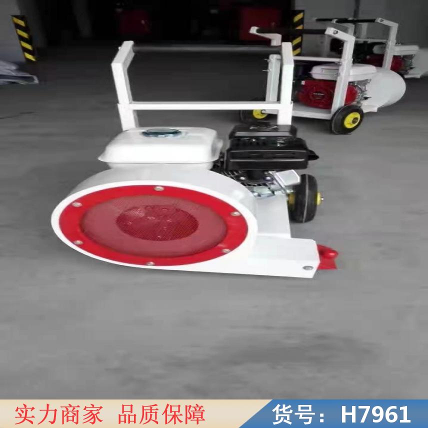 慧采马路除尘机 小型吹渣清灰机 树叶灰尘清扫机货号H7961