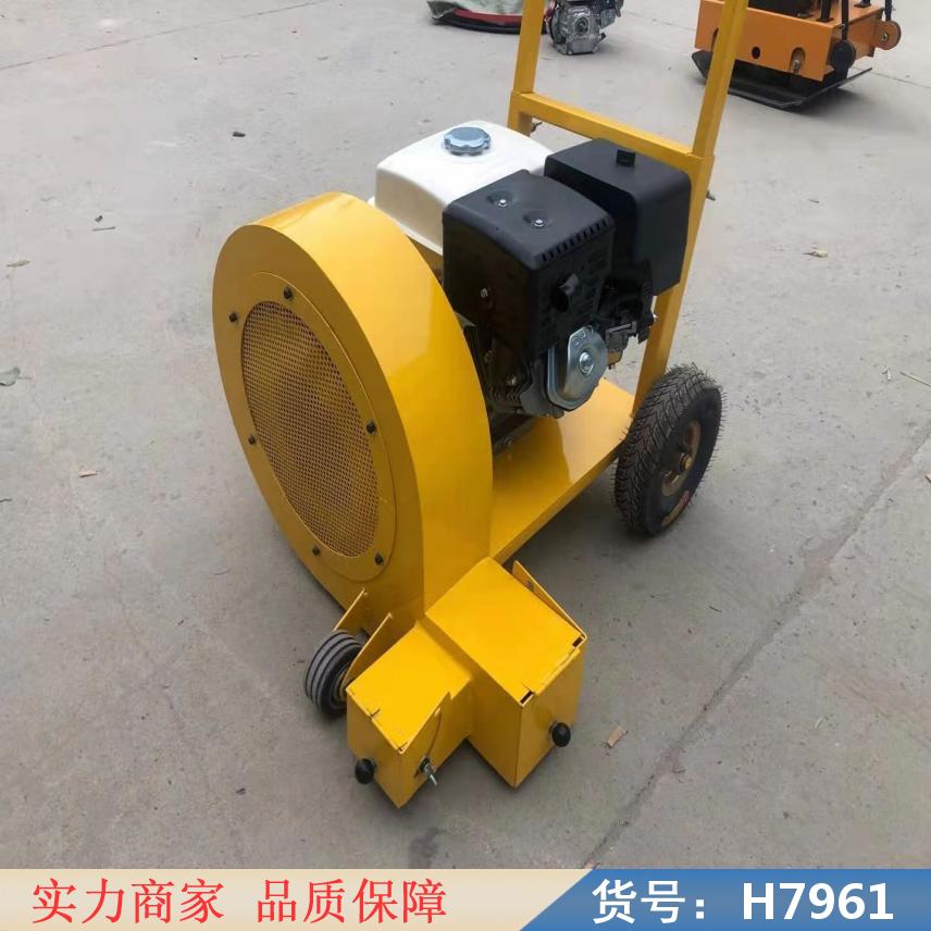 慧采路面吹雪机 简单大鹏清灰机 灌缝吹渣清理机货号H7961
