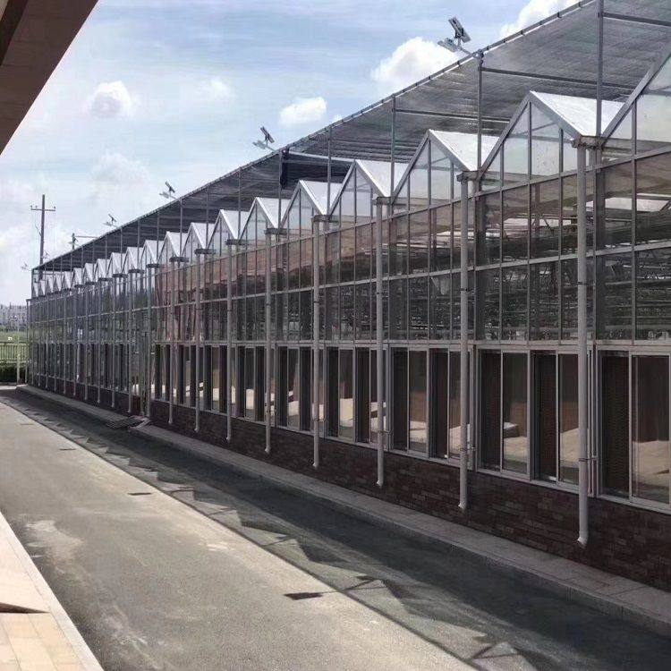 铭智建设连栋温室 连栋温室报价 质量有保障