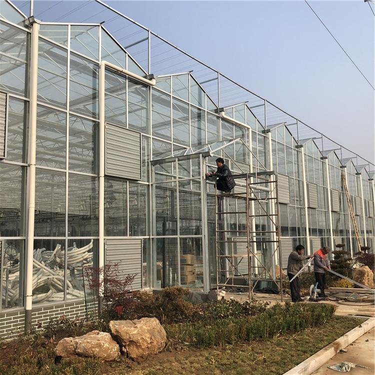 蔬菜育苗温室大棚建设 铭智建造蔬菜育苗温室大棚 透光性好
