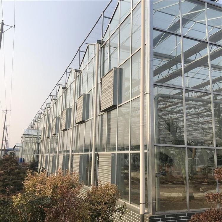 智能温室大棚设计安装 铭智承建智能温室大棚 质量有保障
