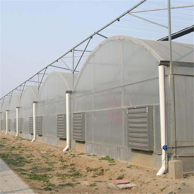 水果大棚 薄膜大棚建设 花卉大棚