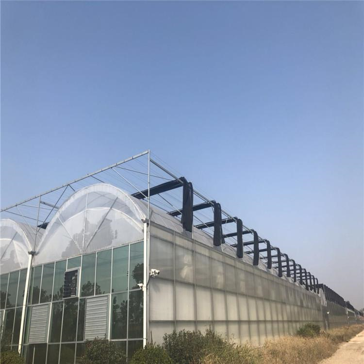 日光温室建设 薄膜连栋温室工程 育苗温室