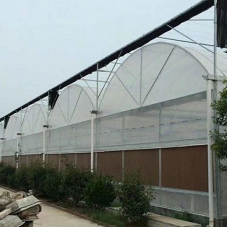 水果大棚 连栋薄膜温室设计 温室建造