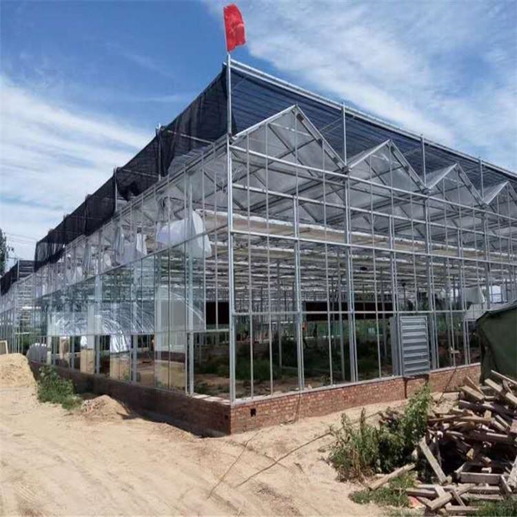 铭智承建全自动温室大棚 全自动温室大棚工程 价格优惠