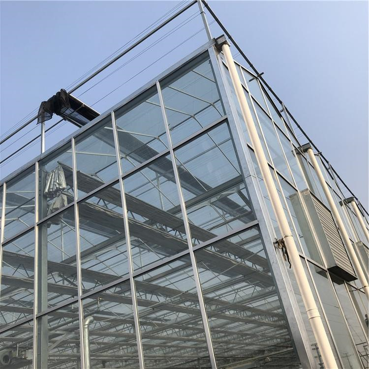 铭智建设新型温室大棚 新型温室大棚设计 价格优惠