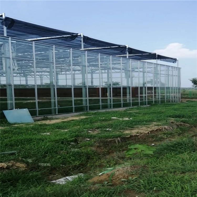 花卉大棚建造商 铭智设计花卉大棚 价格优惠